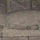 Click para ampliar. Verraco San Francisco (interior 2)- Betanzos